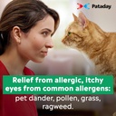 pataday-twice-daily-allergy-itch-relief--5.jpg