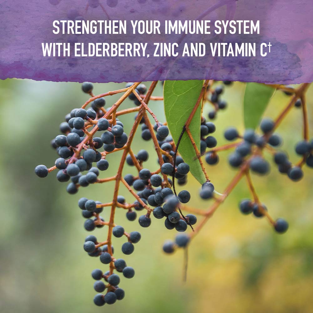 garden-of-life-organics-elderberry-zinc--4.jpg