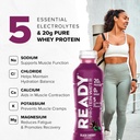 ready-clear-protein-water-20g-whey-prote-4.jpg