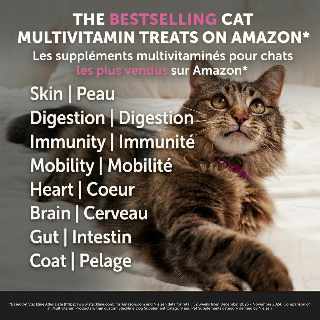 cat-multivitamin-chews-cat-treats-for-he-2.jpg