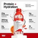 wild-society-nutrition-hydration-protein-3.jpg