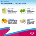 cat-dog-urinary-tract-infection-treatmen-3.jpg