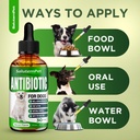 dog-antibiotics-for-infections-cough-itc-5.jpg