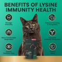 vetriscience-lysine-immunity-health-chew-6.jpg