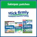 salonpas-pain-relieving-hot-capsicum-pat-6.jpg