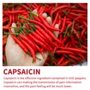 capsaicin-patches-20-count-extra-large-p-3.jpg