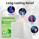 10-pcs-menthol-relief-patches-cool-back--4.jpg
