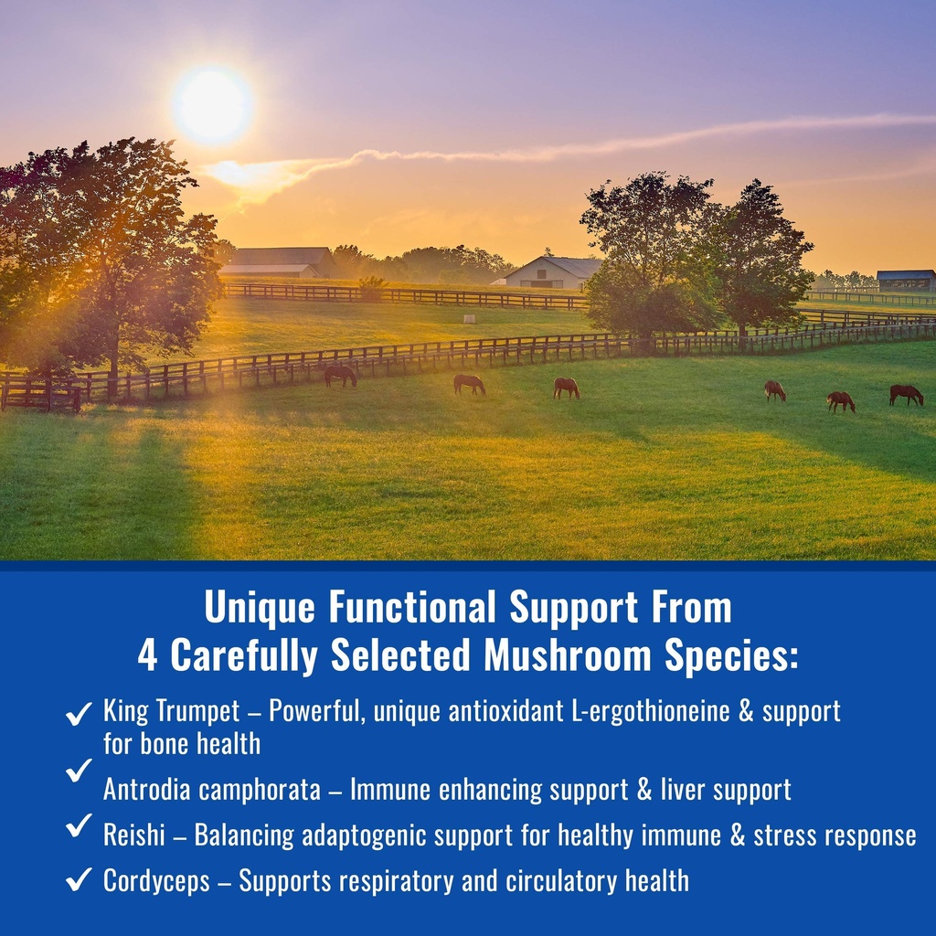 om-mushroom-matrix-equine-wellbeing-usa--3.jpg