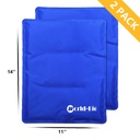 world-bio-2packs-flexible-large-ice-pack-61cIsyR3UaL.jpg