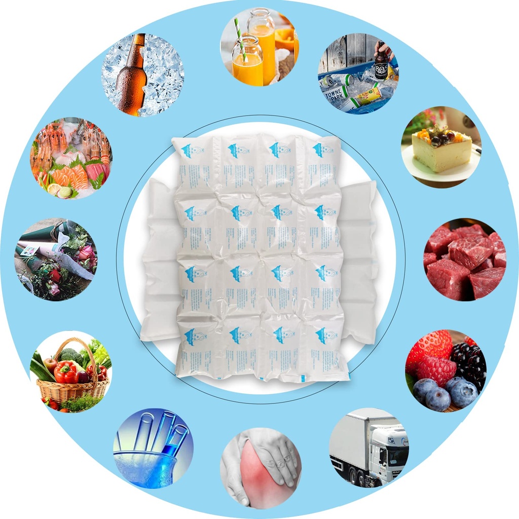 ice-packs-for-shipping-coolers-dry-ice-s-71MiBGQDLrL.jpg