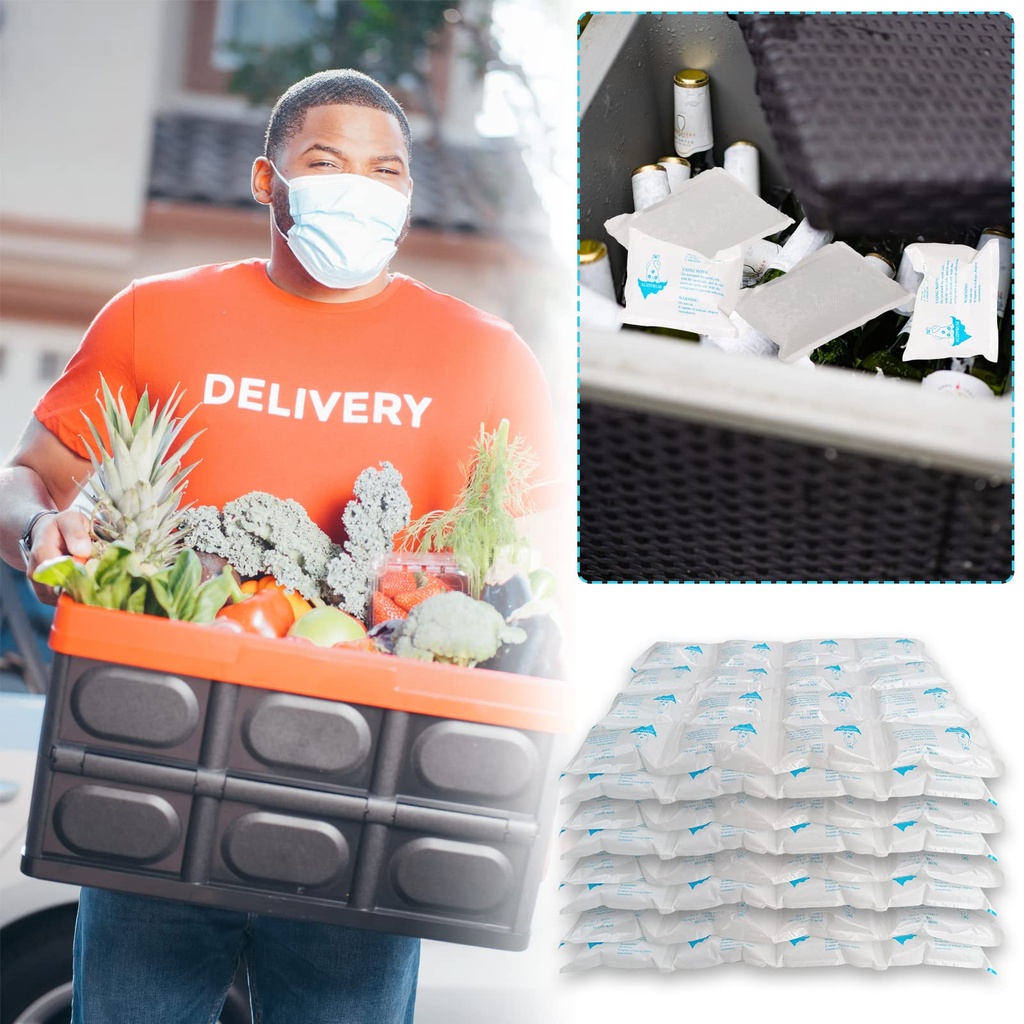 ice-packs-for-shipping-coolers-dry-ice-s-7142ohzUzkL.jpg