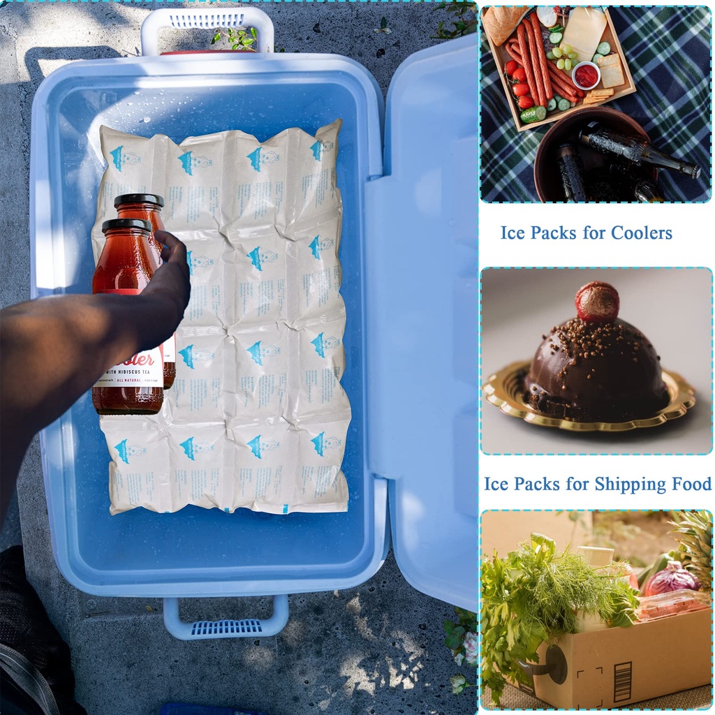 ice-packs-for-shipping-coolers-dry-ice-s-81nQ1d4IQ4L.jpg