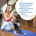 ice-packs-for-injuries-reusable-gel-2-pa-61QD+qdF-OL.jpg