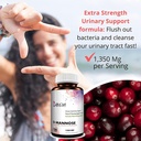 d-mannose-capsules-and-probiotics-for-wo-4.jpg