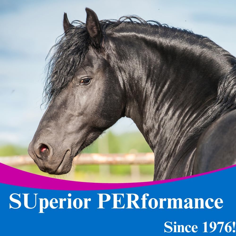 su-per-gain-weight-for-horses---equine-s-5.jpg