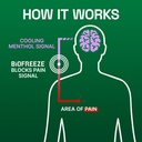 biofreeze-day-overnight-pain-relief-patc-6.jpg