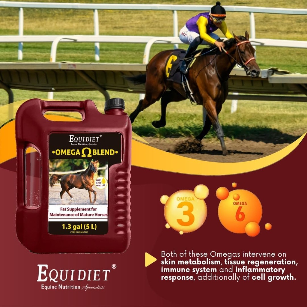 omega-blend-supplement---horse-weight-ga-3.jpg