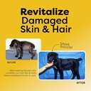 medical-strength-hair-skin-nails-dog-che-5.jpg