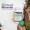 vital-earth-minerals-humic-minerals-caps-3.jpg