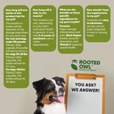 rooted-owl-turmeric---turmeric-supplemen-6.jpg