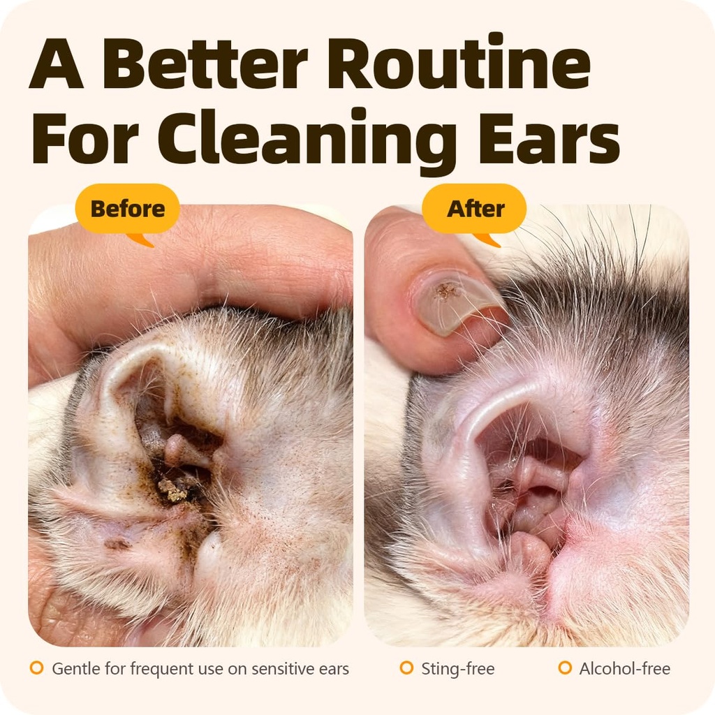 ear-drops-for-ear-infection-treatment-ea-3.jpg