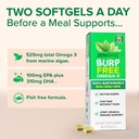 zenwise-health-vegan-omega-3-supplement--3.jpg