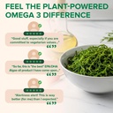 zenwise-health-vegan-omega-3-supplement--6.jpg