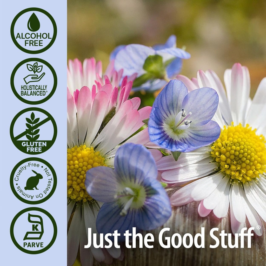 nature-s-answer-eyebright-herb-supports--4.jpg