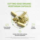 secrets-of-the-tribe-wild-yam-usda-organ-2.jpg