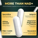 uplife-nad-supplement-1-372mg-liposomal--5.jpg
