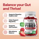 yum-v-s-prebiotic-fiber-gummies-for-adul-3.jpg