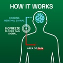 biofreeze-menthol-pain-relieving-patches-6.jpg