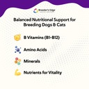 breeder-s-edge-b-strong-powder-b-complex-4.jpg