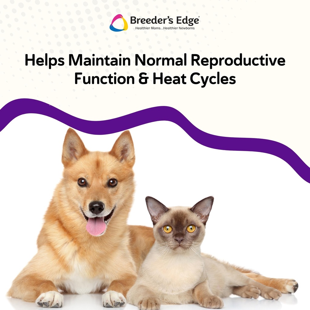 breeder-s-edge-b-strong-powder-b-complex-5.jpg