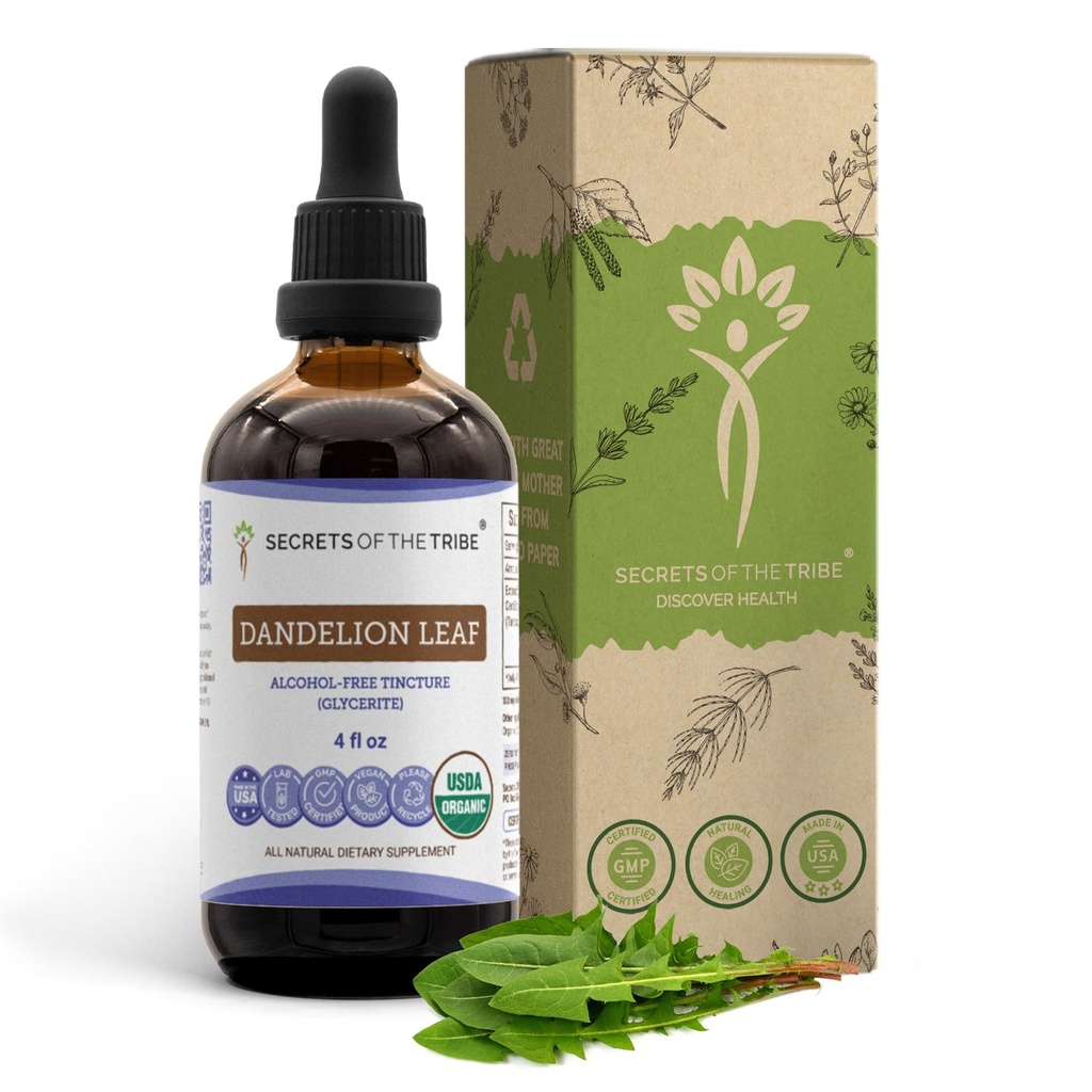 Secrets of the Tribe Dandelion Leaf USDA Organic | Alcohol-Free Extract, High-Potency Herbal Drops | Made from 100% Certified Organic Taraxacum Officinale Dried Leaf 4 fl oz