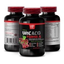 Turmeric, uric Acid Cleanse - URIC Acid Cleans - URIC Acid Formula - Green Coffee Bean, Milk Thistle, uric Acid Flush, Cranberry, uric Acid Formula, uric Acid Flush Natural 1 Bottle 60 Capsules