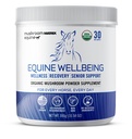 Om Mushroom Matrix - Equine | Wellbeing | USA Grown Human-Grade Organic Mushroom Powder Show Safe Horse Supplement | Wellness, Recovery, & Senior Support | 300 Grams, 10.5 oz